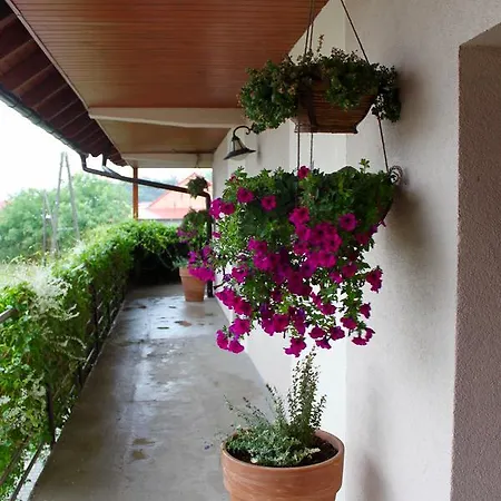 Han/Misafirhane Dworek