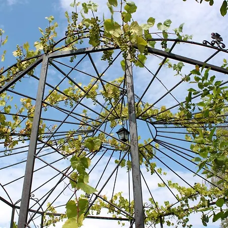 Han/Misafirhane Dworek